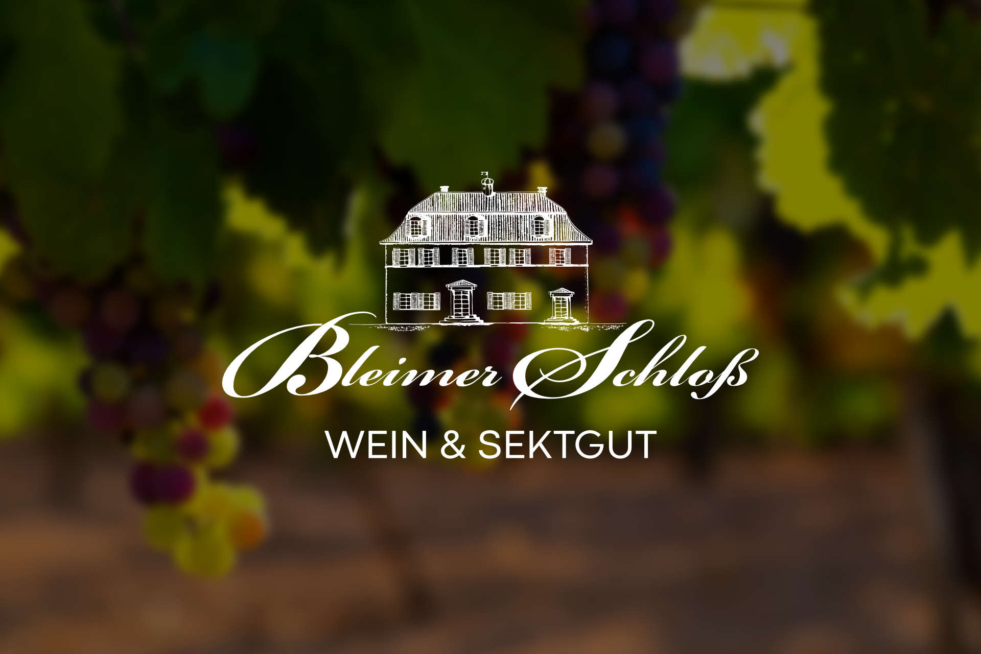 Logo von Bleimer mit Weinreben im Hintergrund
