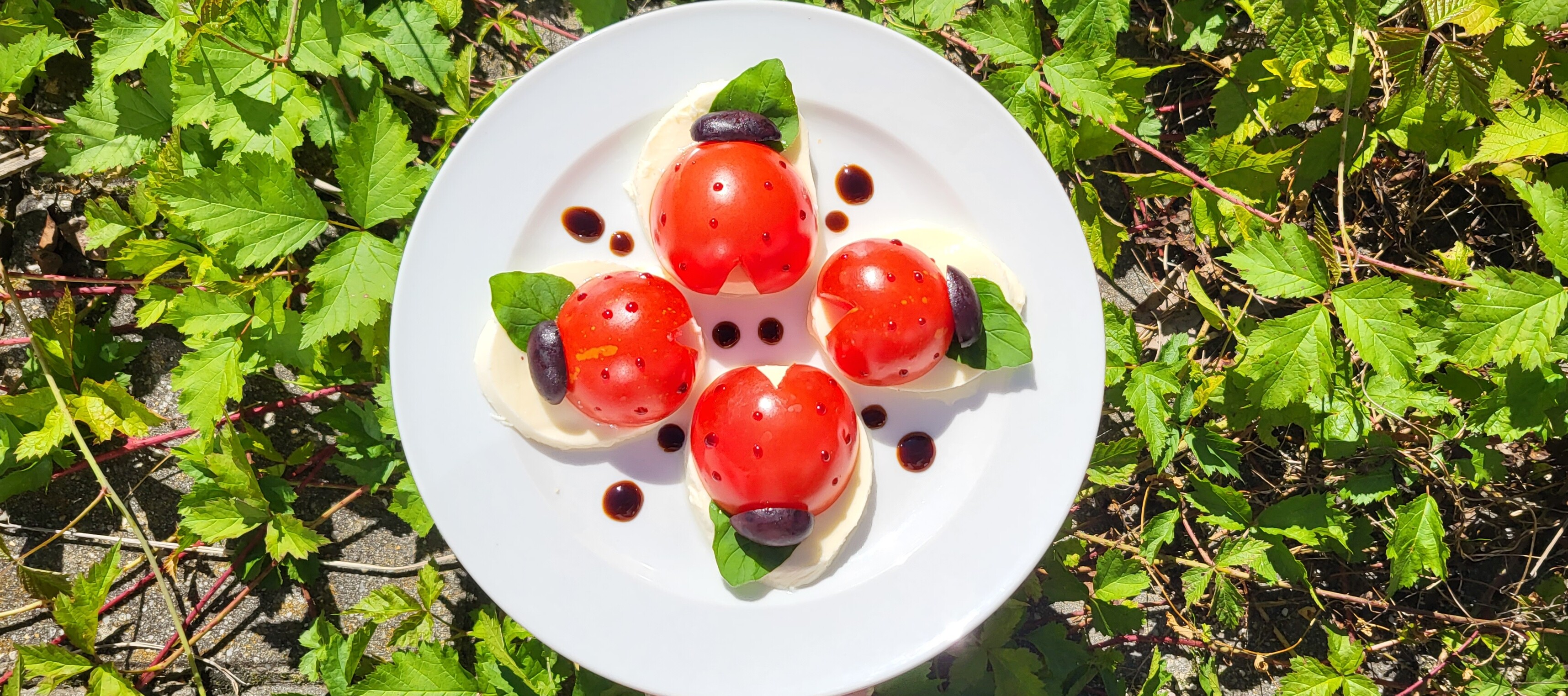 Vier Tomatenmarienkäfer auf weißen Teller